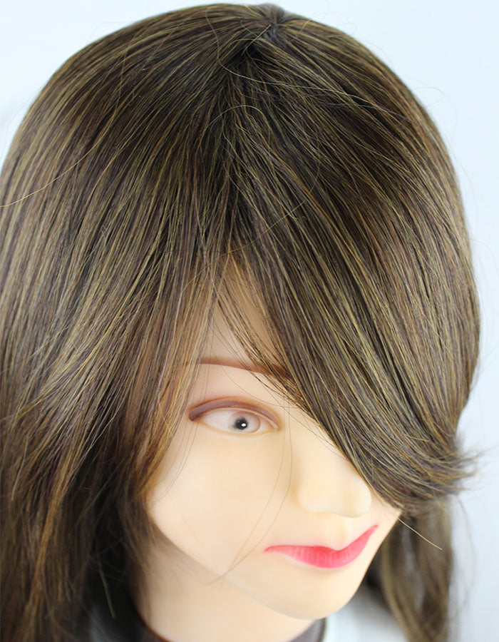 Front Bang Wig Dark Brown Streaks - Zebaish Wigs and Extension